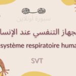 تحميل عرض ppt ومستند PDF لدرس الجهاز التنفسي عند الإنسان (Le système respiratoire) مادة SVT. العرض جاهز ومجاني على منصة سبورة أونلاين.