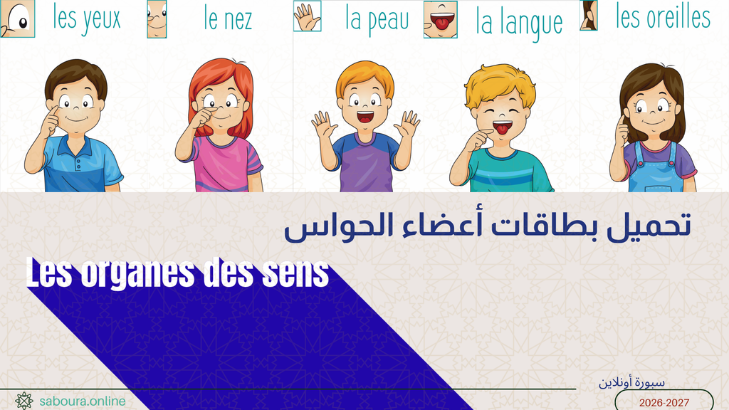 Les organes des sens PDF